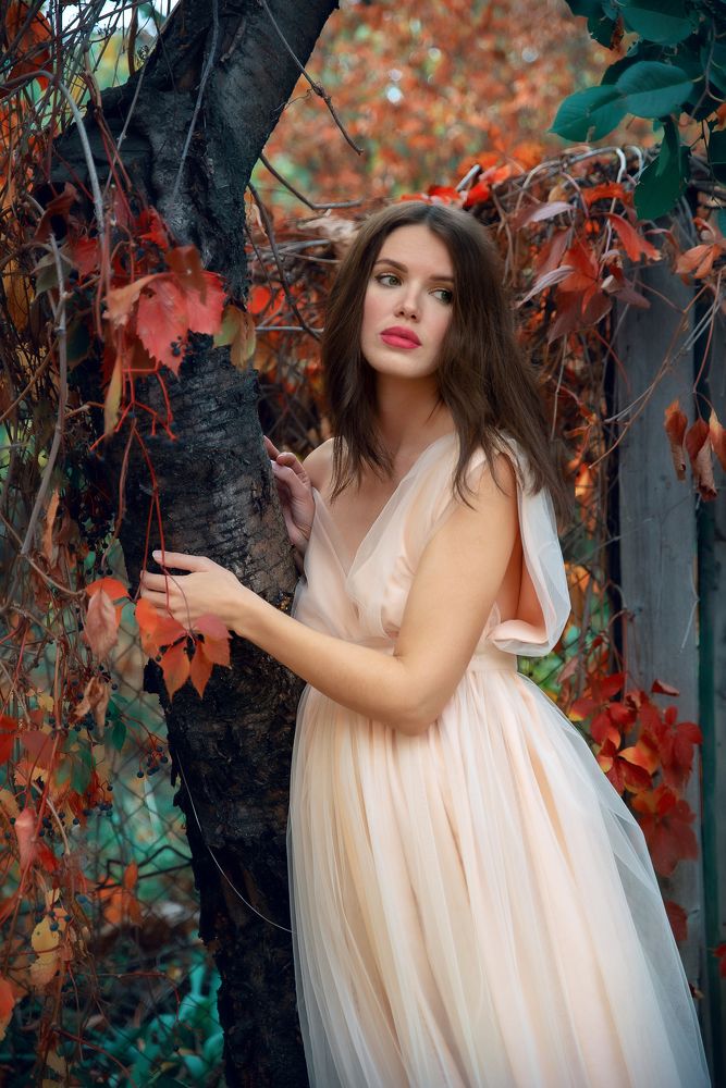 сказочный лес