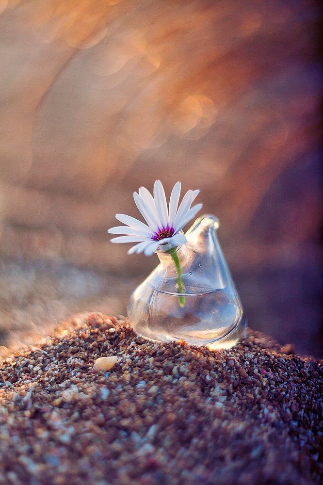 Photograph by Тата Бакбак