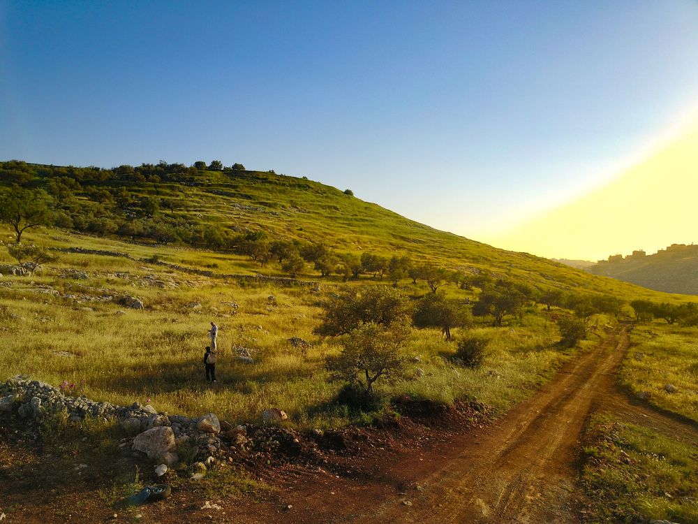 Красота за домом.