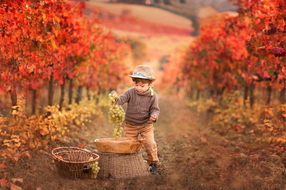 Photograph by Yulia Laterza