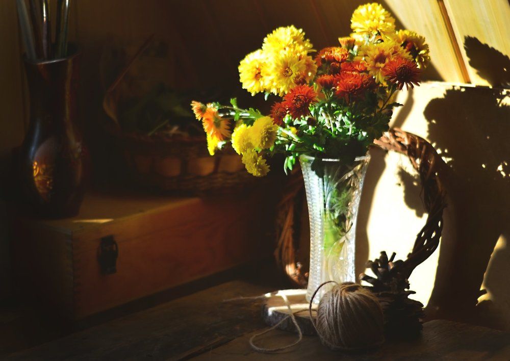 В лучах осени