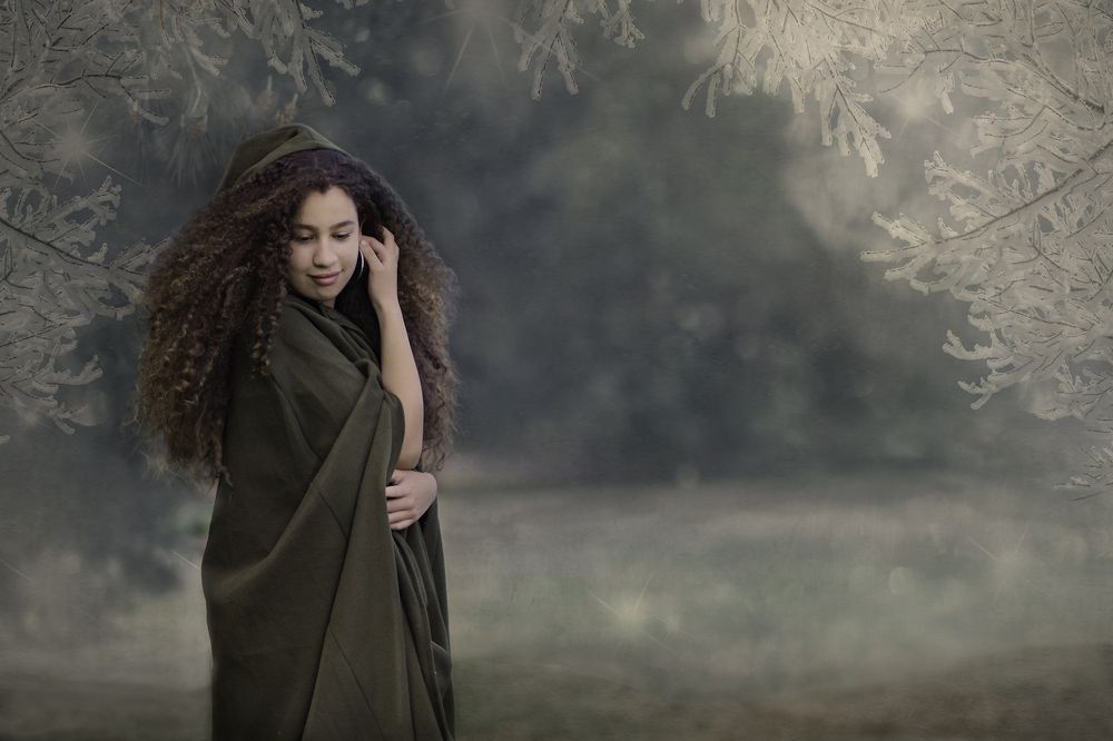 Into the frozen woods