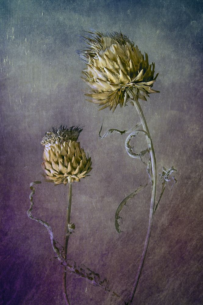 напутствие