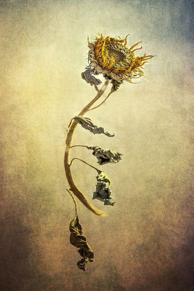 последний вздох