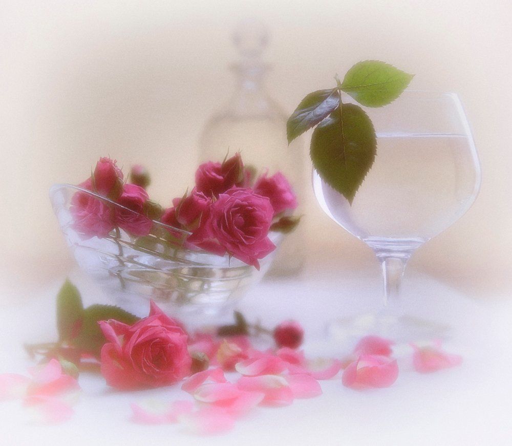 Цветок любви,цветок мечты.