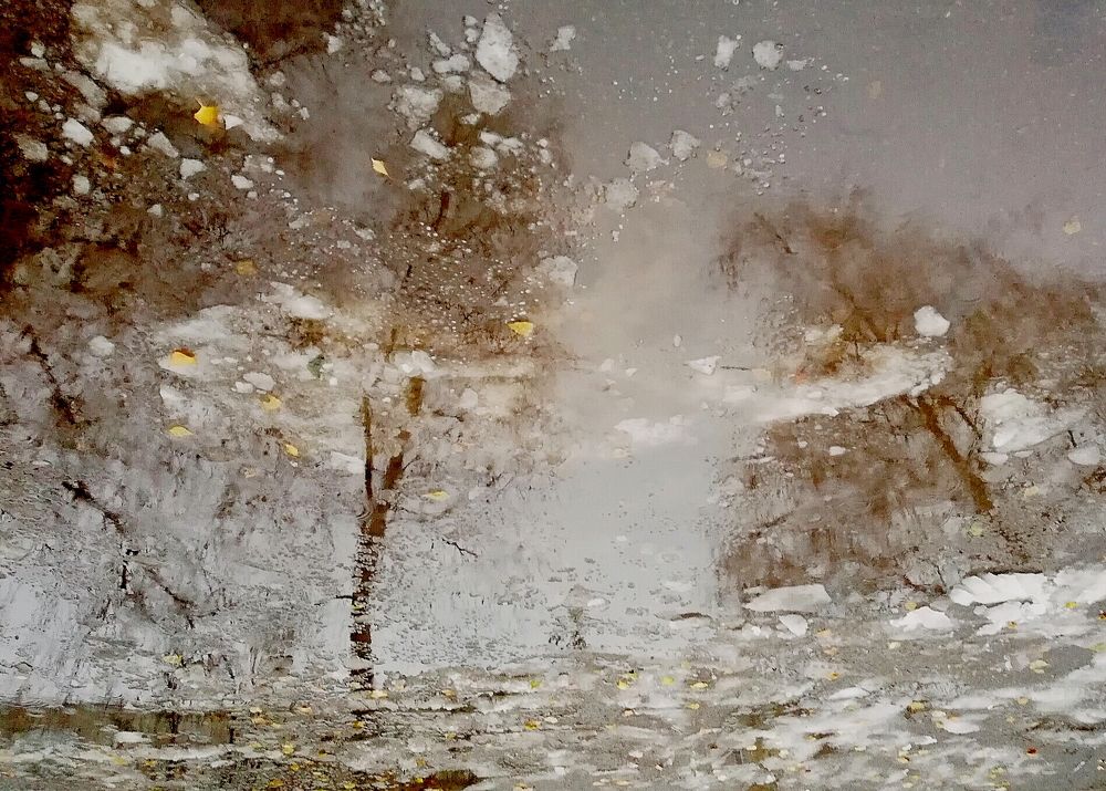 Последнии денечки ноября