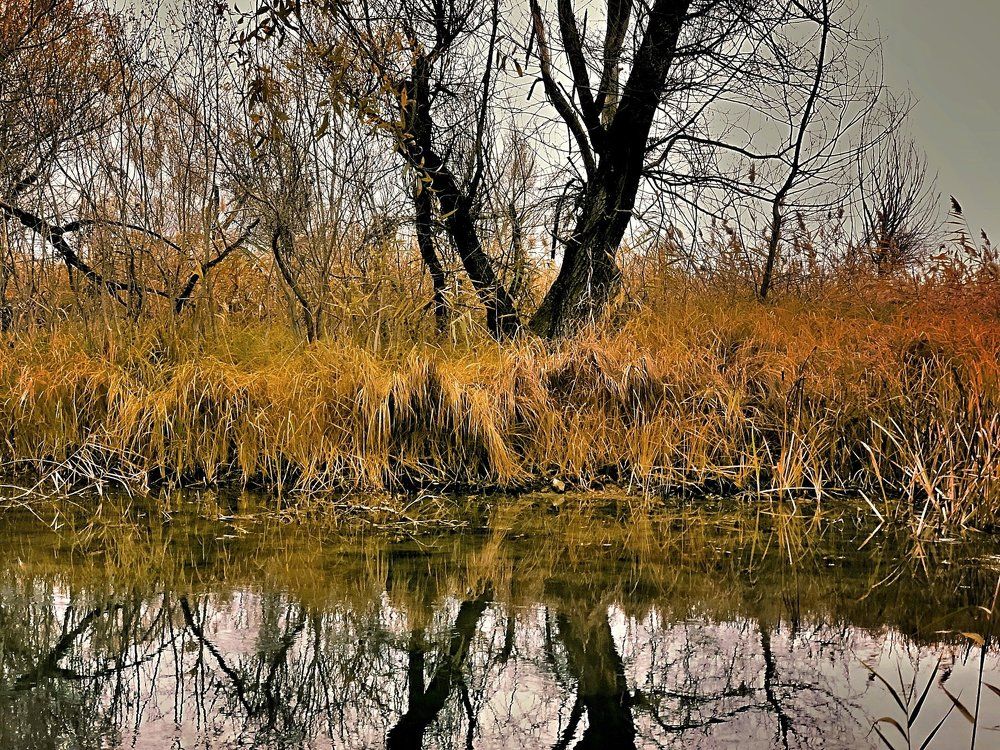 The breath of Autumn 3