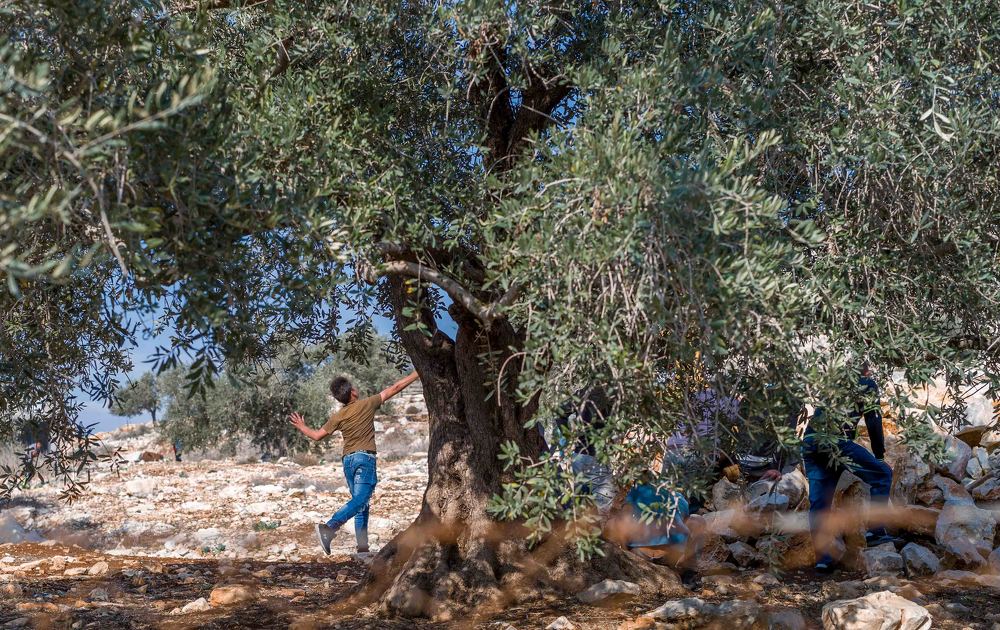 Demonstration in Kufr Qaddum / Демонстация в Куфр Каддум
