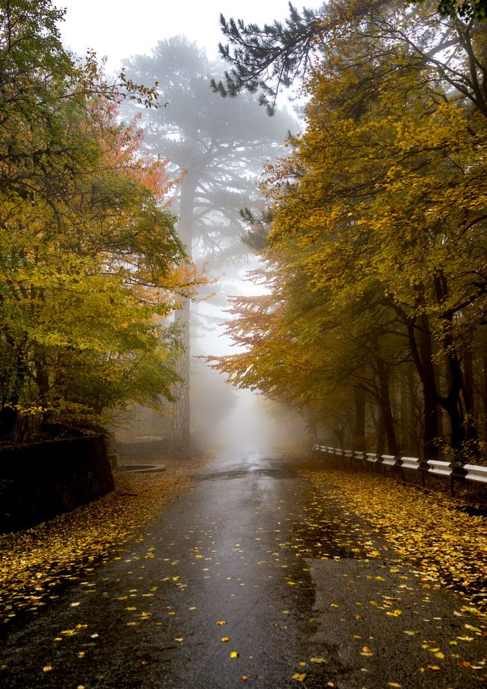 Photograph by Игорь