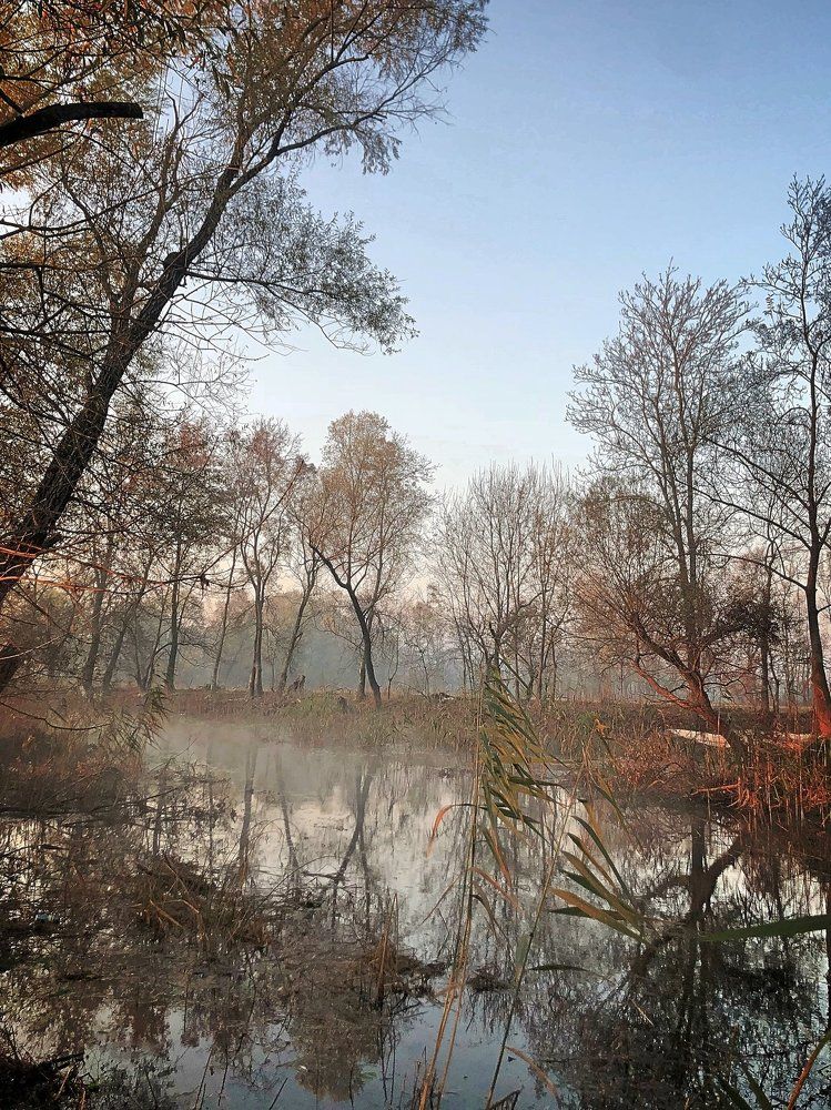 The breath of Autumn 4