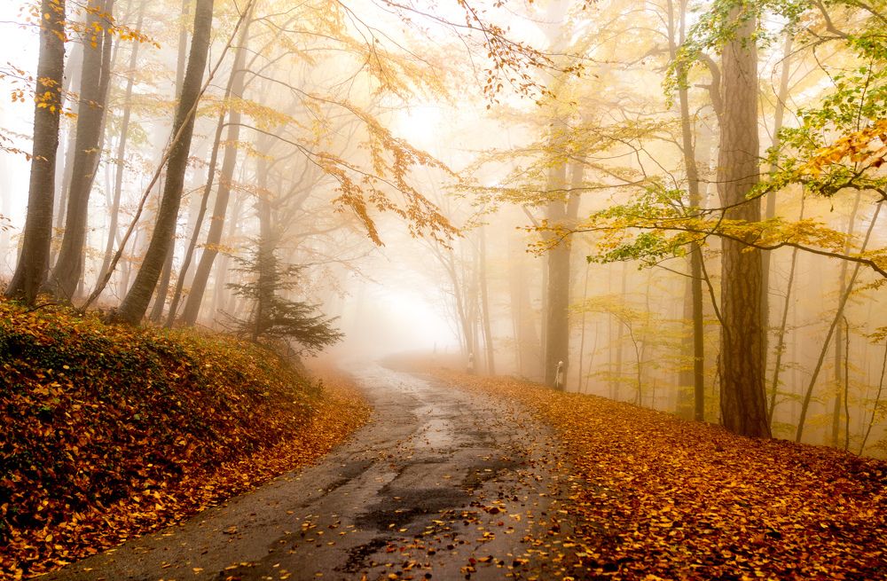 Photograph by Игорь