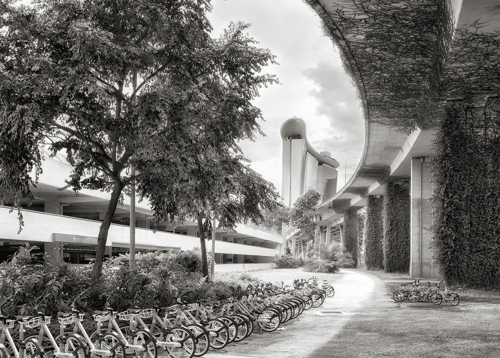 Приглашение к велопрогулке по Сингапуру