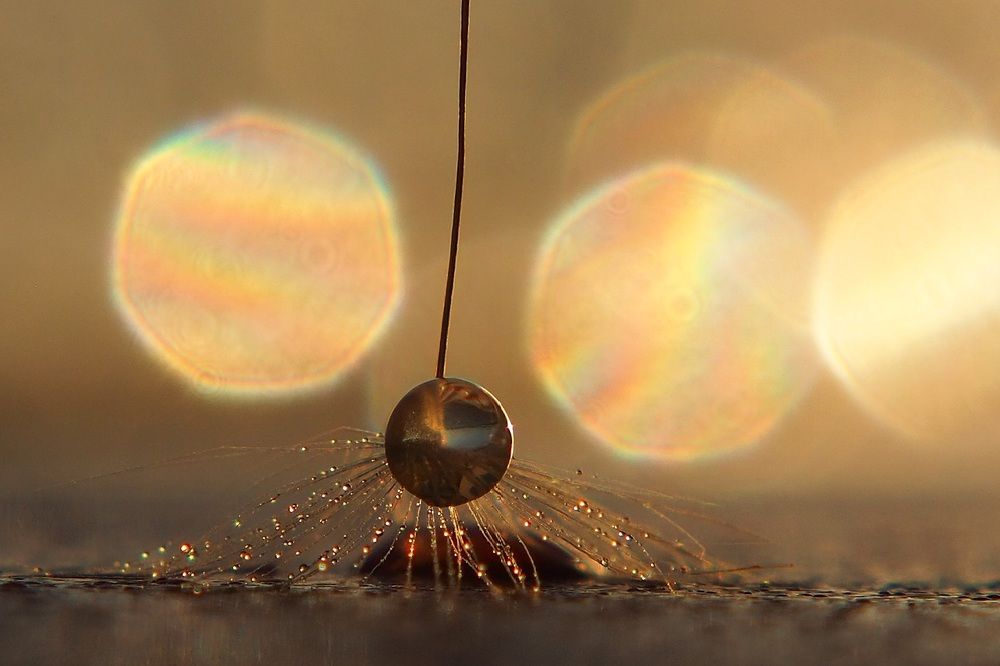 Волшебный мир