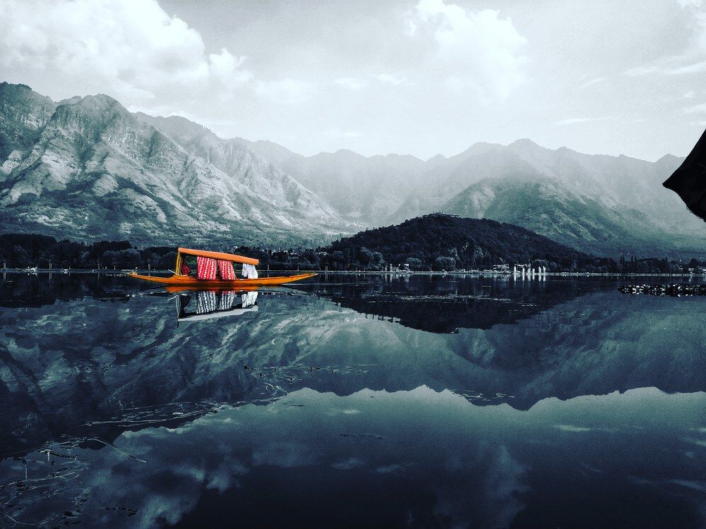 In The Midst of Dal Lake