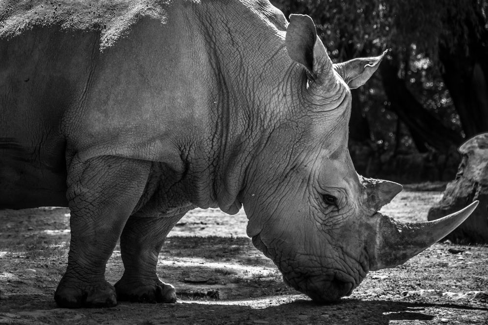 Фотография автора Максим Юрков