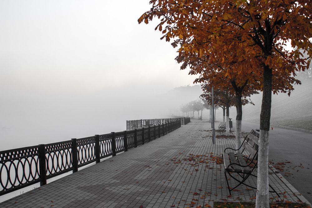 Осень в тумане