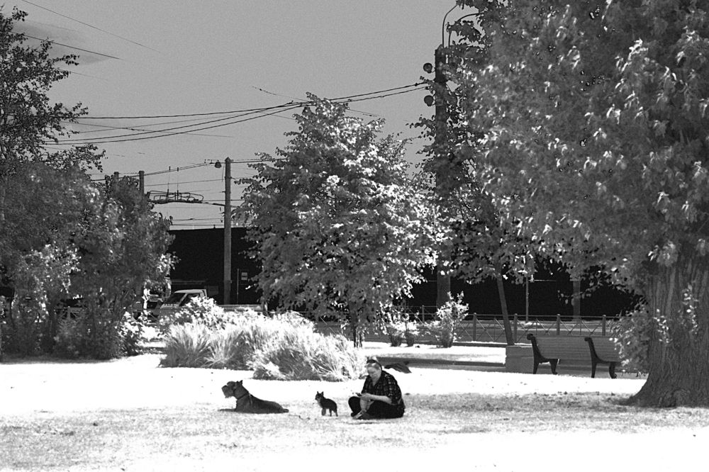 В чужом городе.