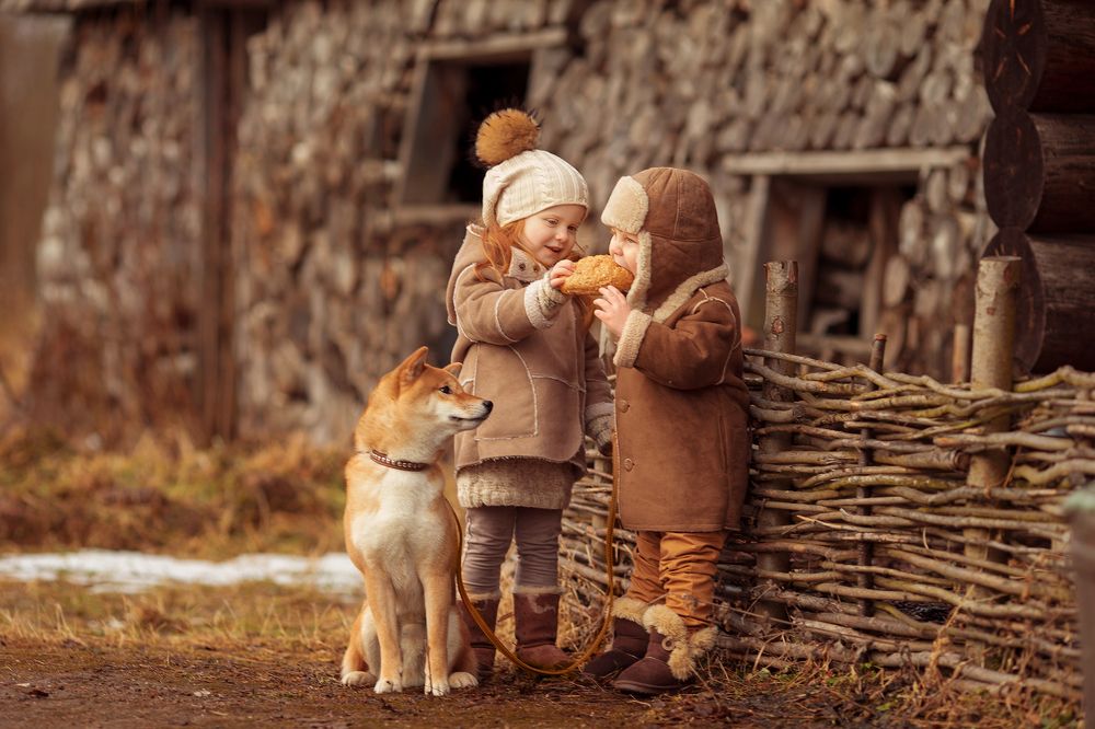 Просто о доброте