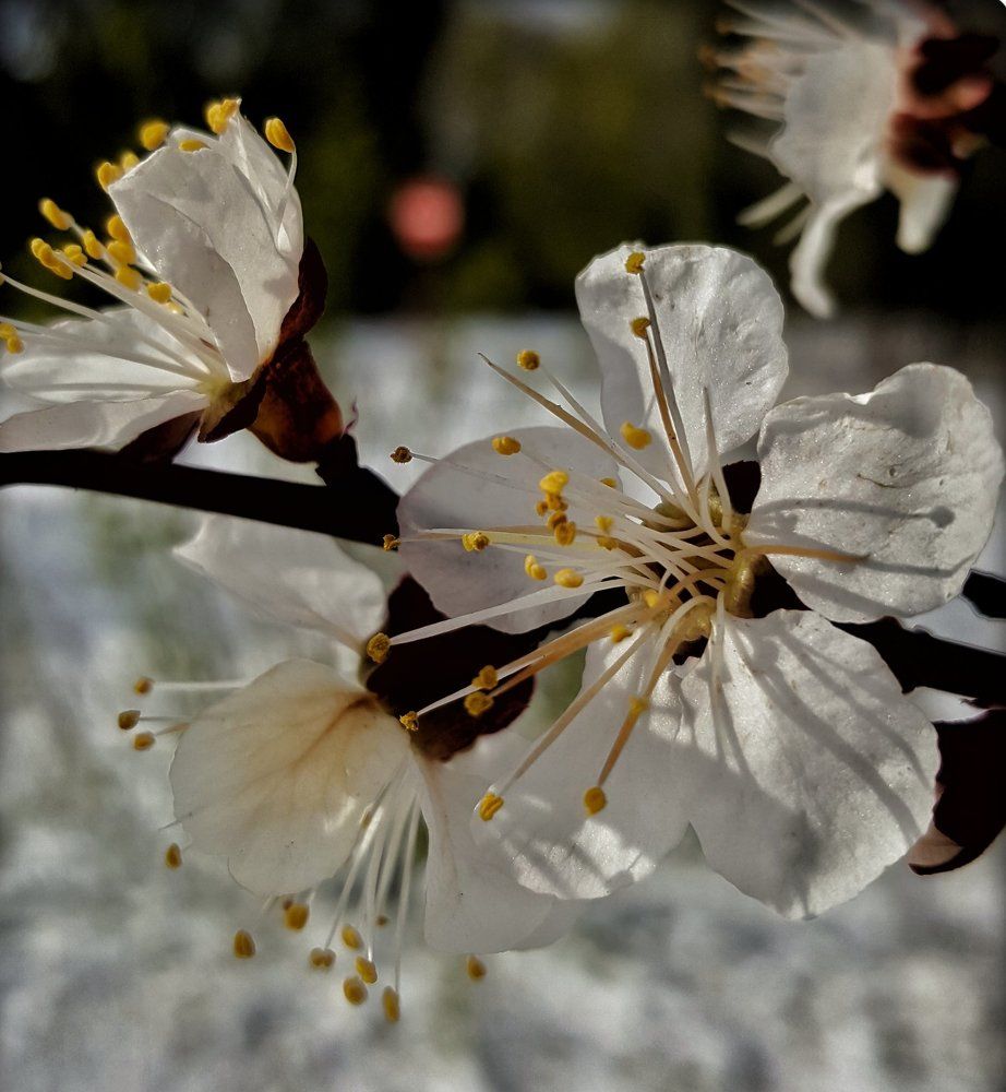 April...