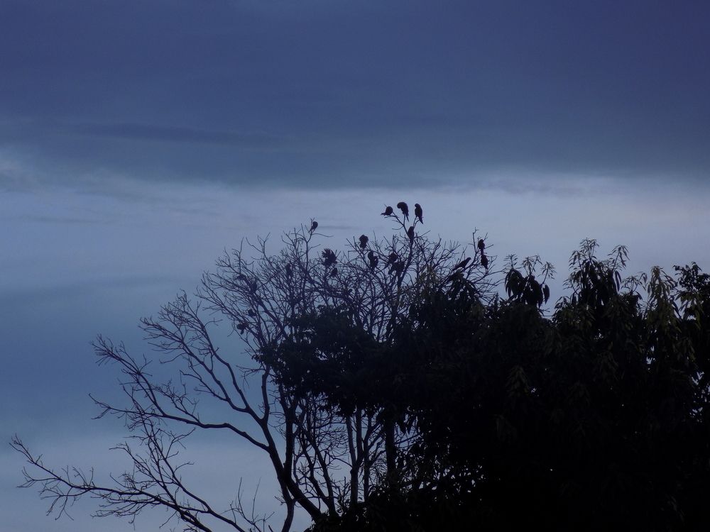 Waiting for the Sun