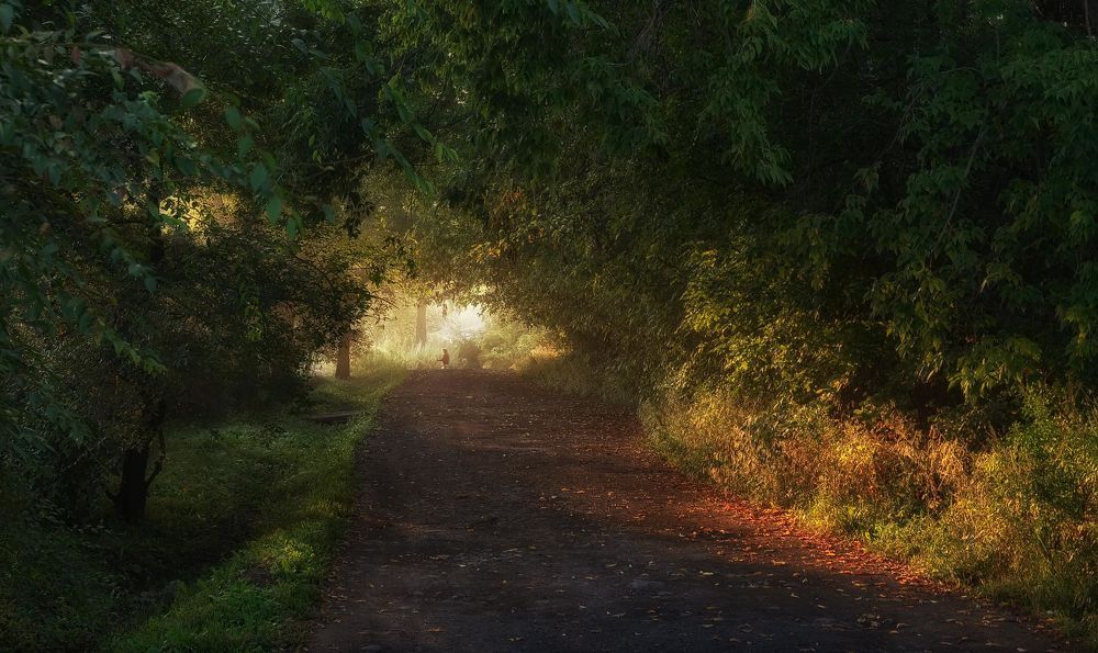 осенним утром