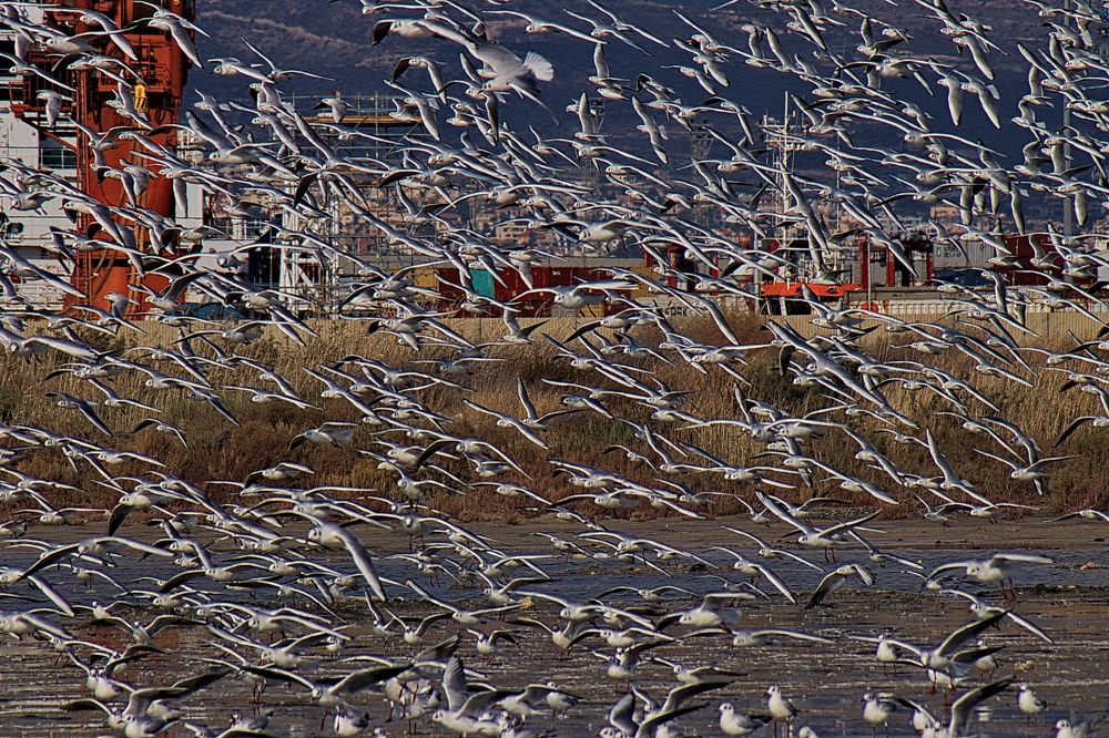 Photograph by Инна Черкасская