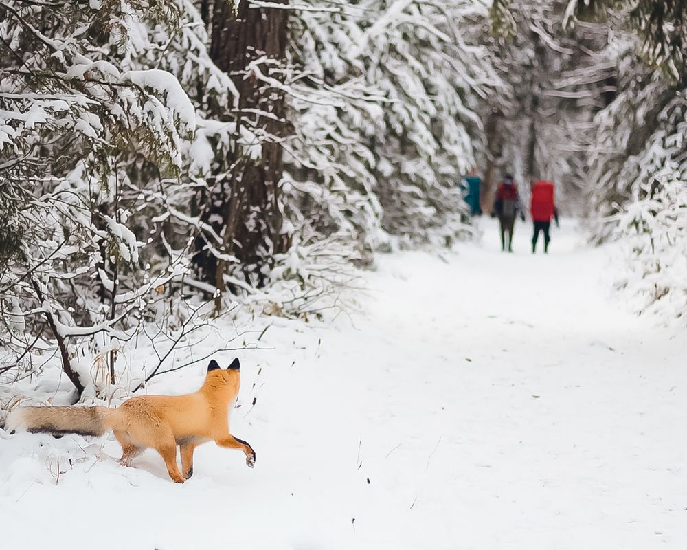 Я слежу за тобой