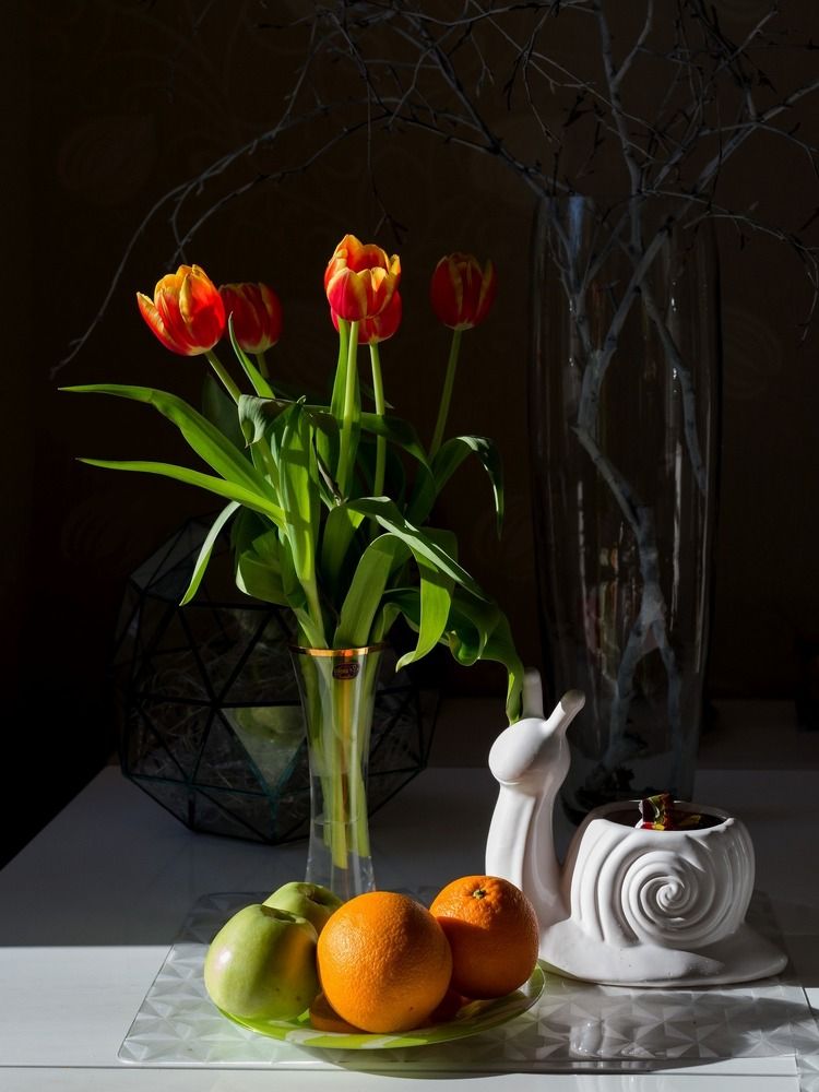 Тюльпаны и улитка