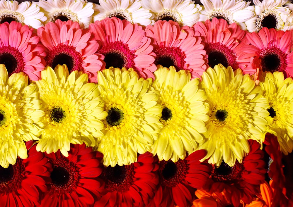 Photograph by Adil Kuandykov