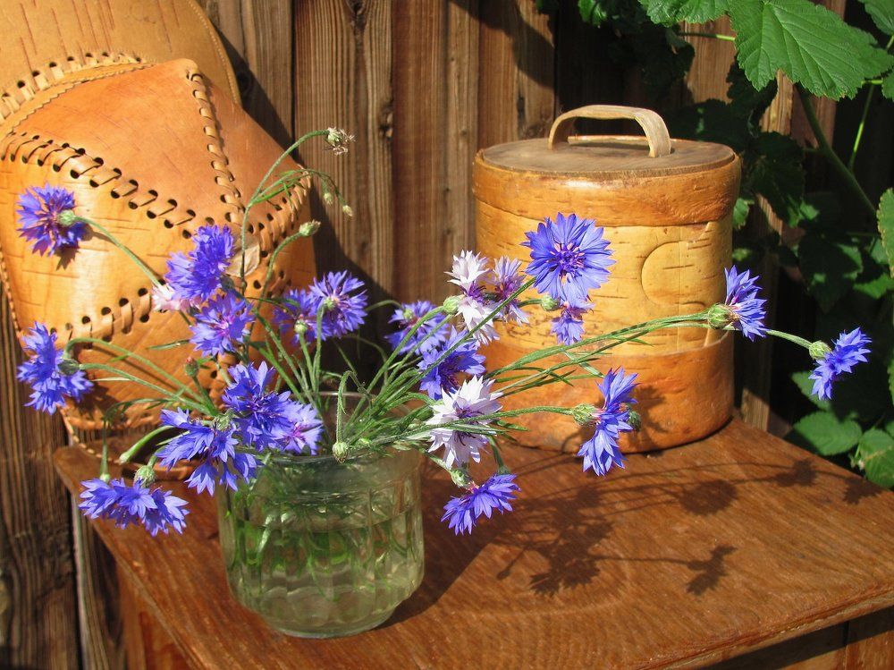 Photograph by Альбина