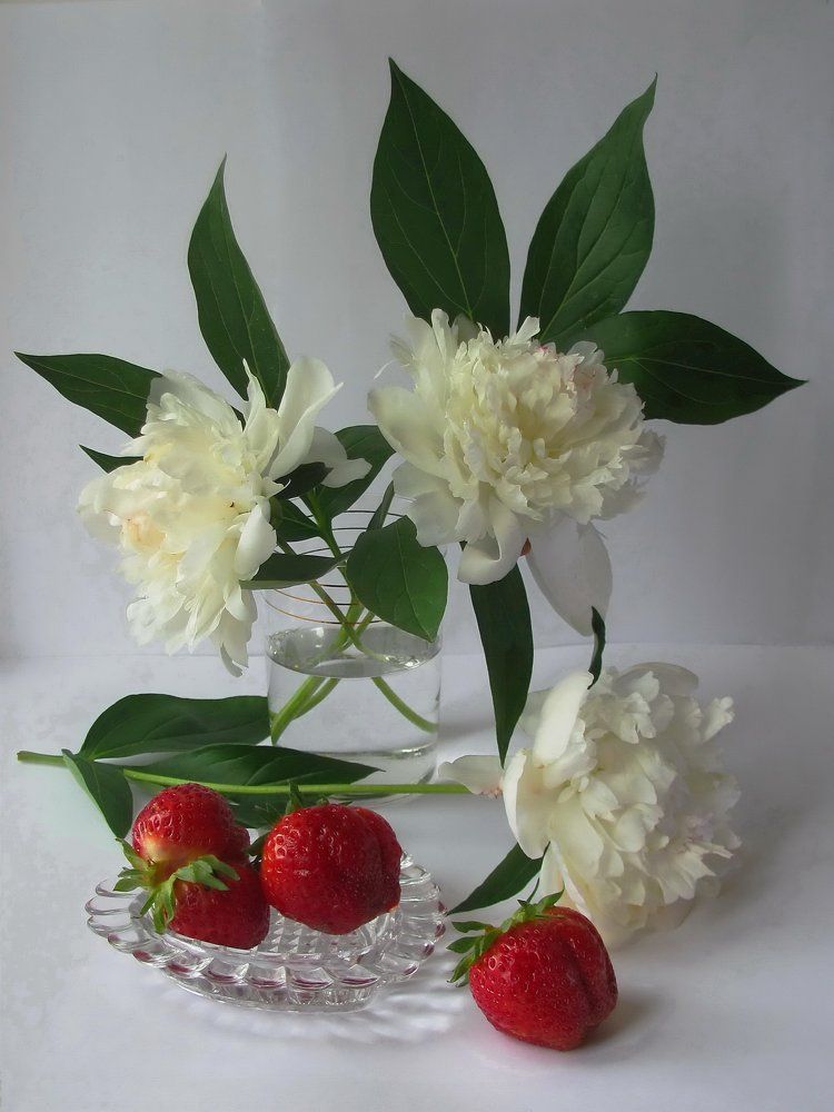 Содружество контрастов.