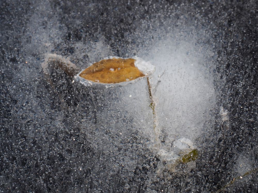 Осенний лёд