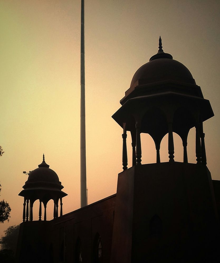 Dusky dusk