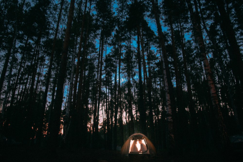 Photograph by Екатерина