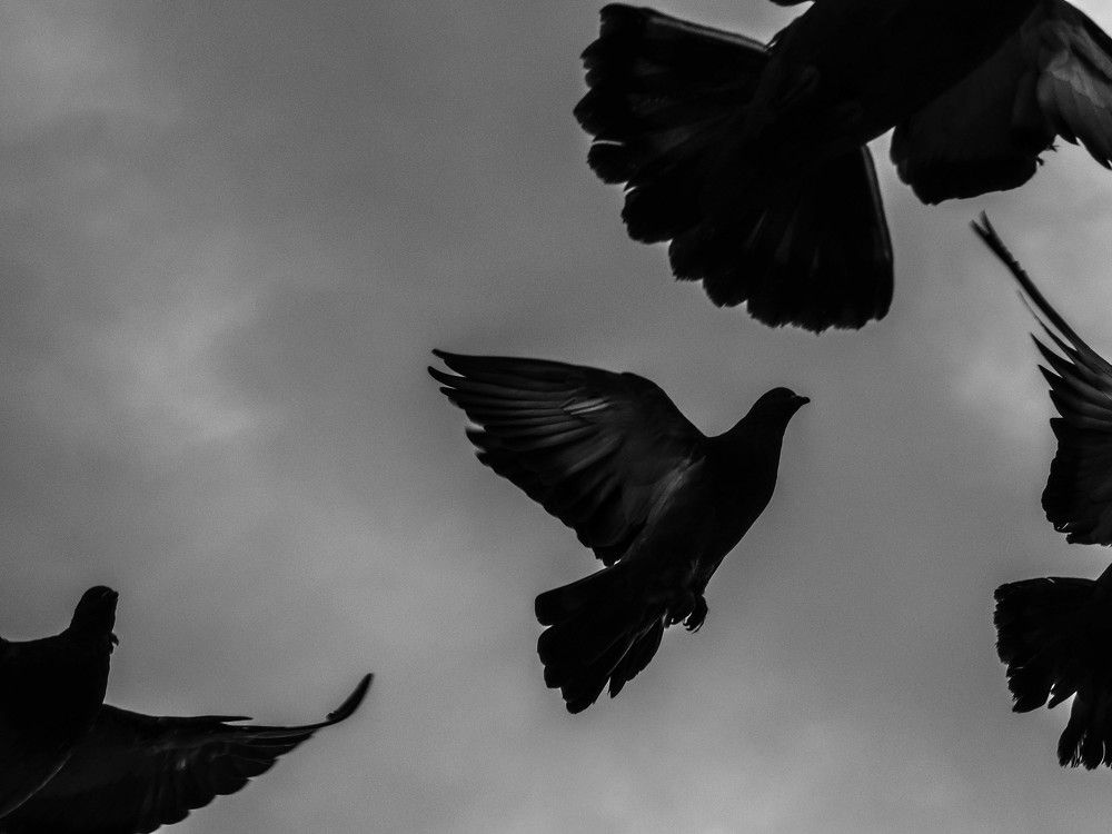 Photograph by Алексей Баландин