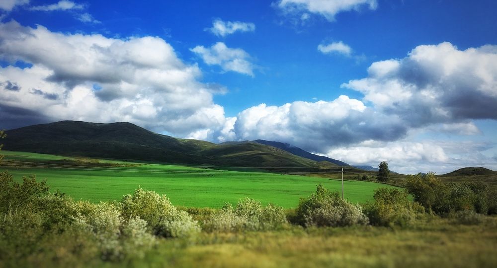 Сочные луга