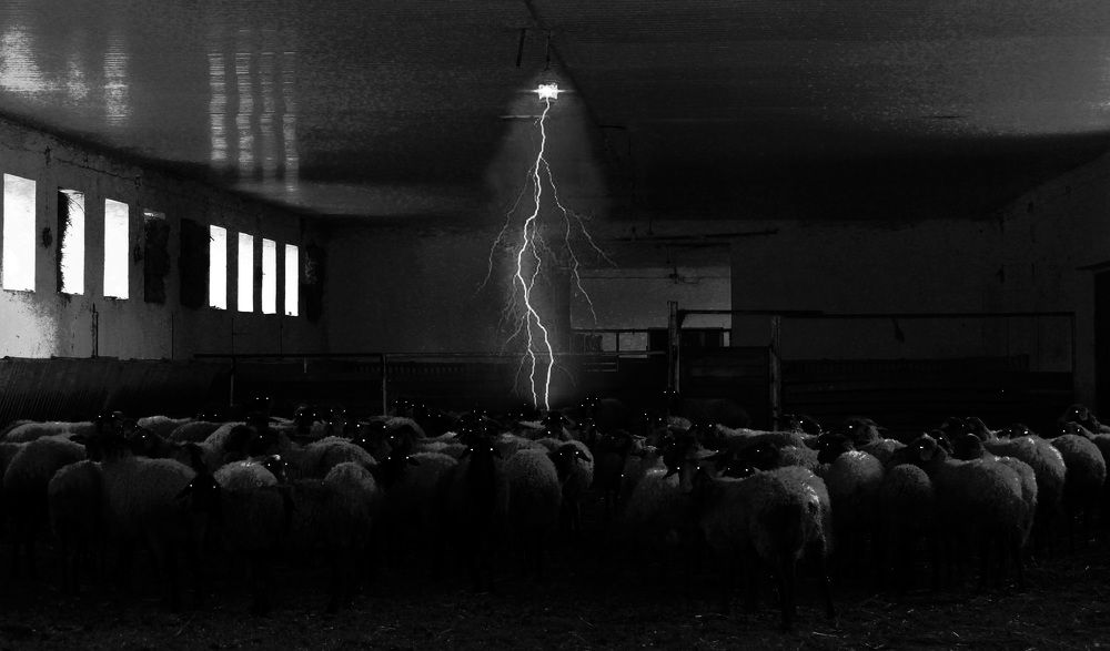 Photograph by Nargiz