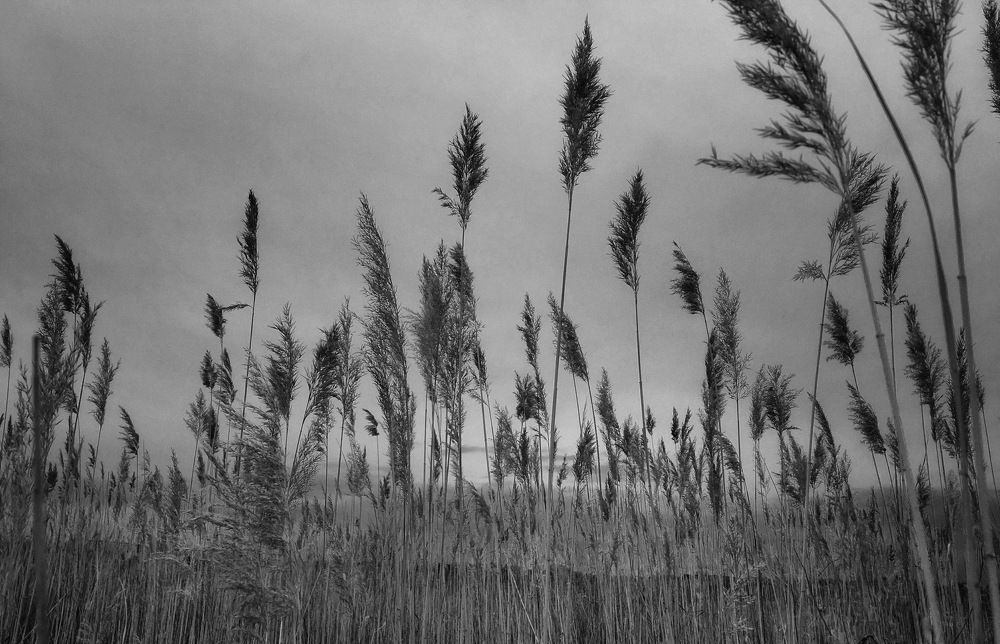 Photograph by Станислав Самойлов