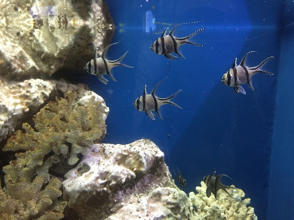 Photograph by Меруерт