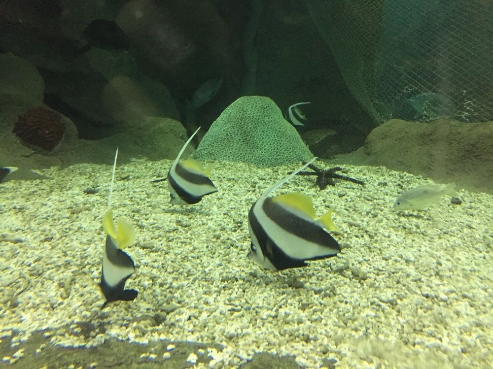 Photograph by Меруерт