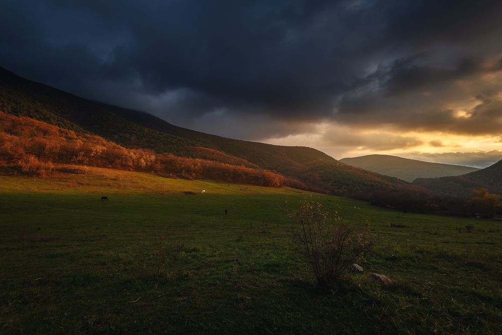 Горное пастбище в Байдарской долине.