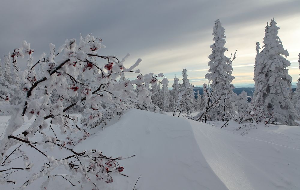Photograph by Александр Полюдов