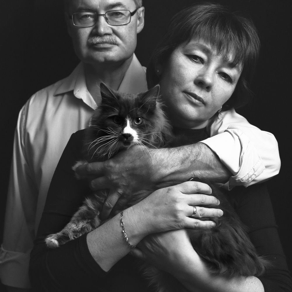 Портрет кота и его окружения