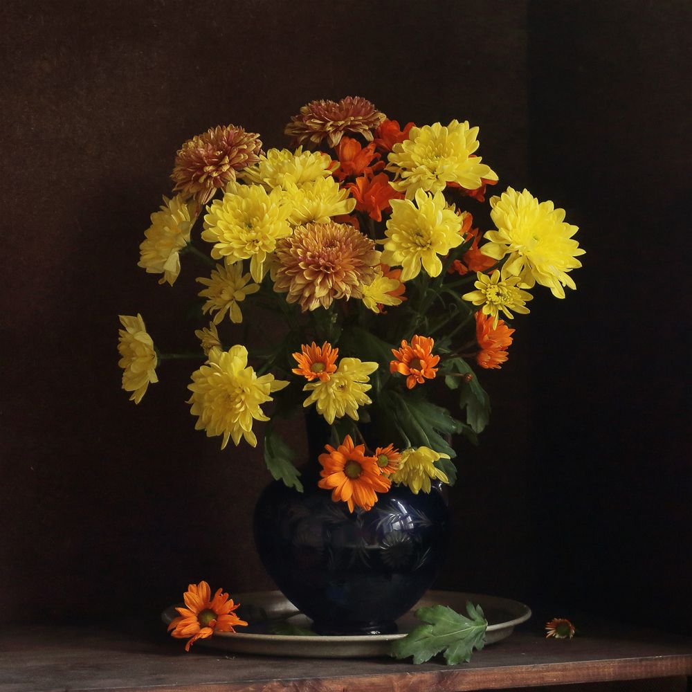 хризантемы