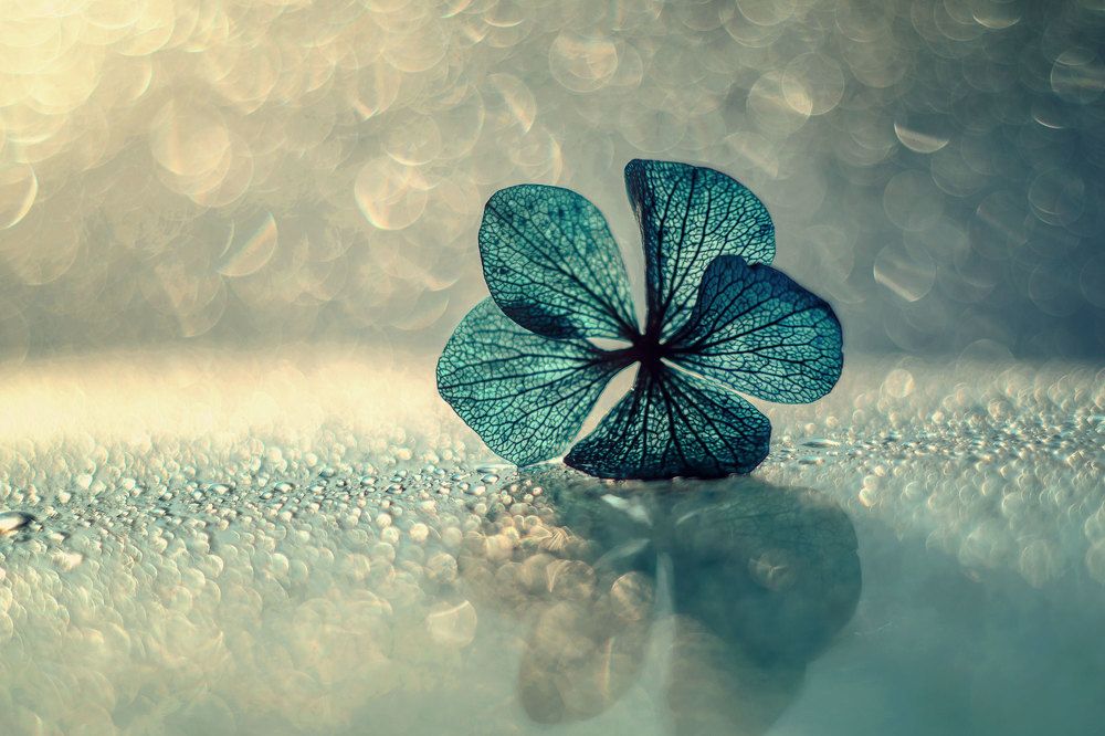 Photograph by Нурият Аллаярова