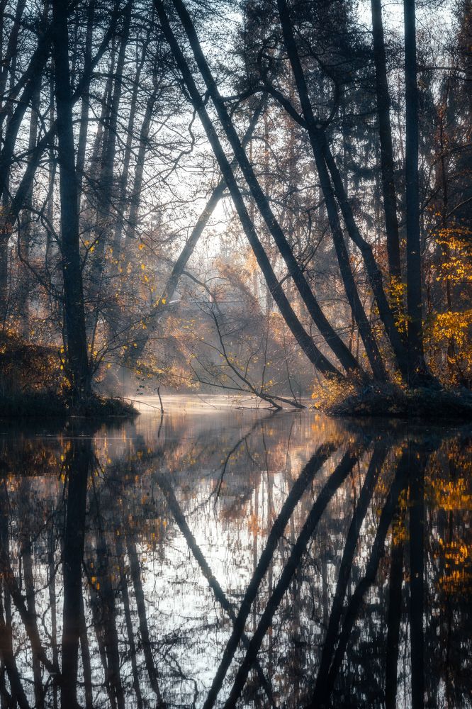 Reflection perfection