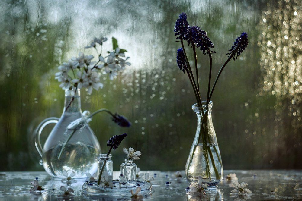 Photograph by Курамшина Татьяна