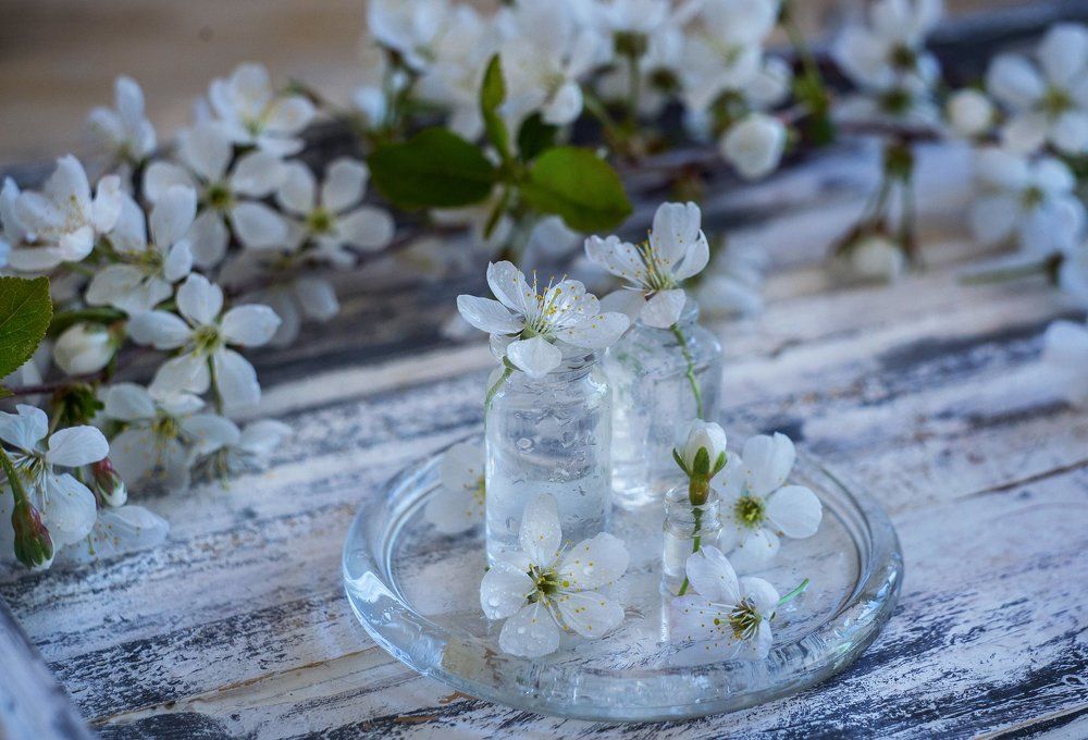 Photograph by Курамшина Татьяна