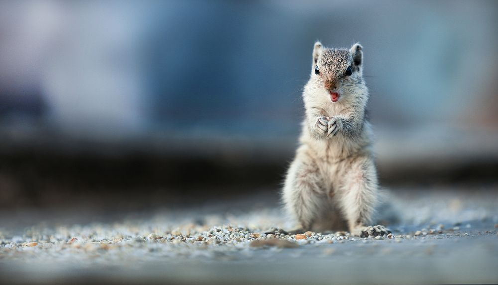 Hey i am here.........