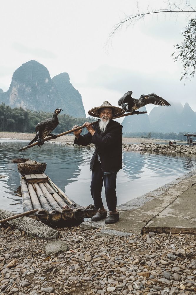 the fisherman and his cormorants